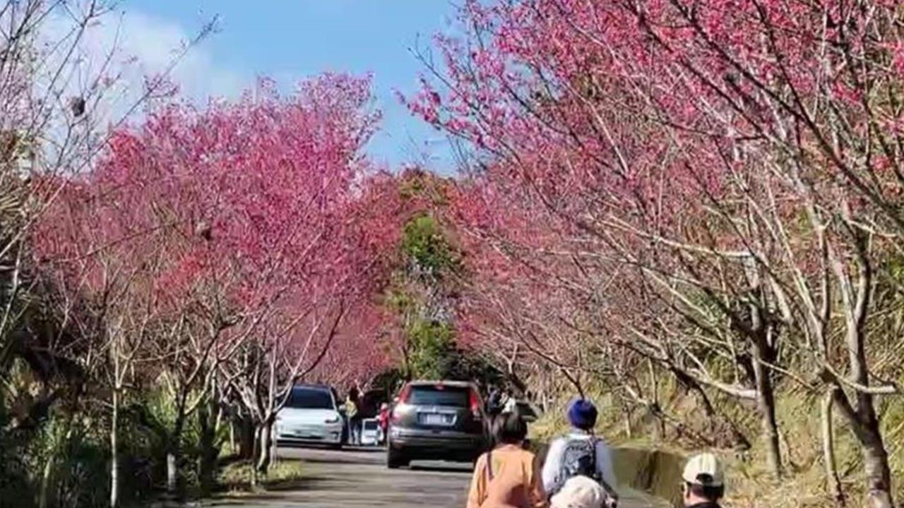 小孟老師運勢／準備脫單了！專家點名「這星座」將開始新的關係