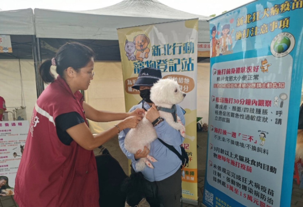 帶毛寶貝打疫苗抽500元　新北動保處推狂犬病防疫活動開跑