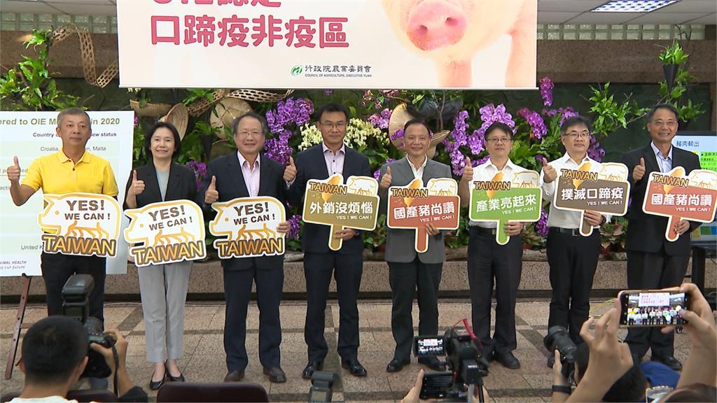 台灣歷經24年終從口蹄疫區除名！強力外銷打豬豬世界盃