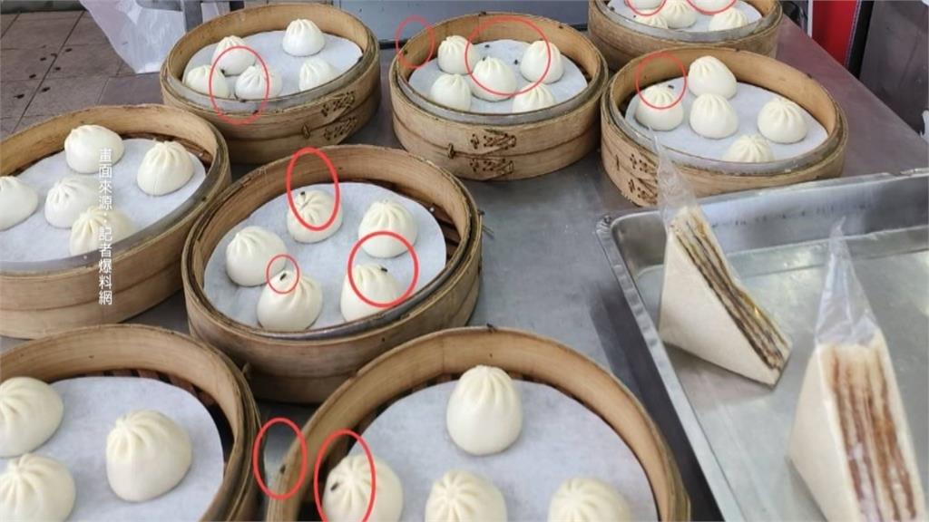 高雄連鎖包子店「蒼蠅飛舞」　民眾PO網批食慾全無