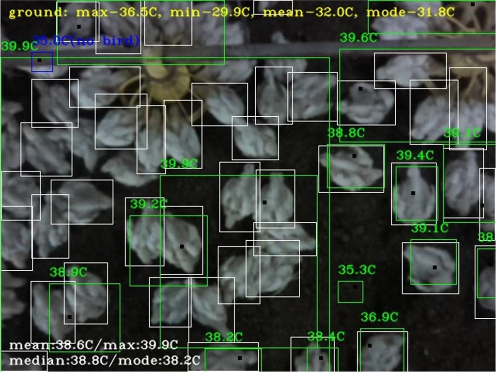 工科爸為護子轉學農　辰明智能智慧偵測動植物生長狀態