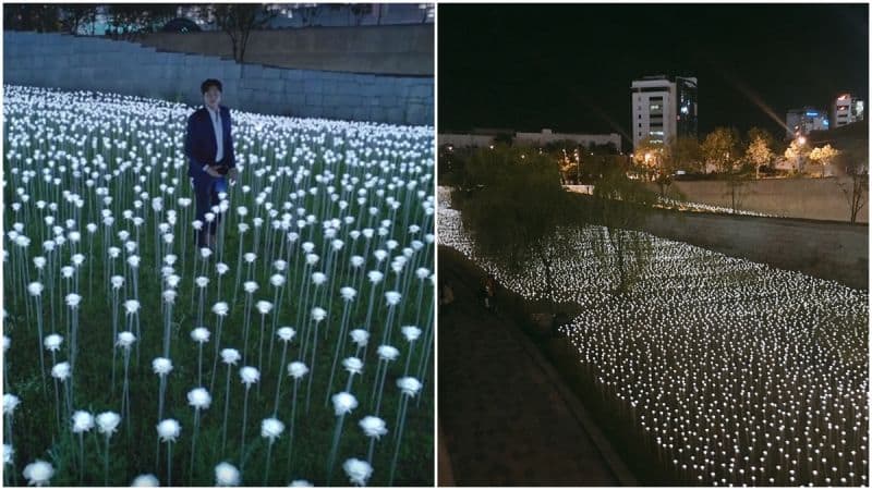 首爾打卡3大地標必去！孔劉拍廣告的東大門玫瑰花海、樂天世界塔、島山公園、雪花文化展真的超好拍