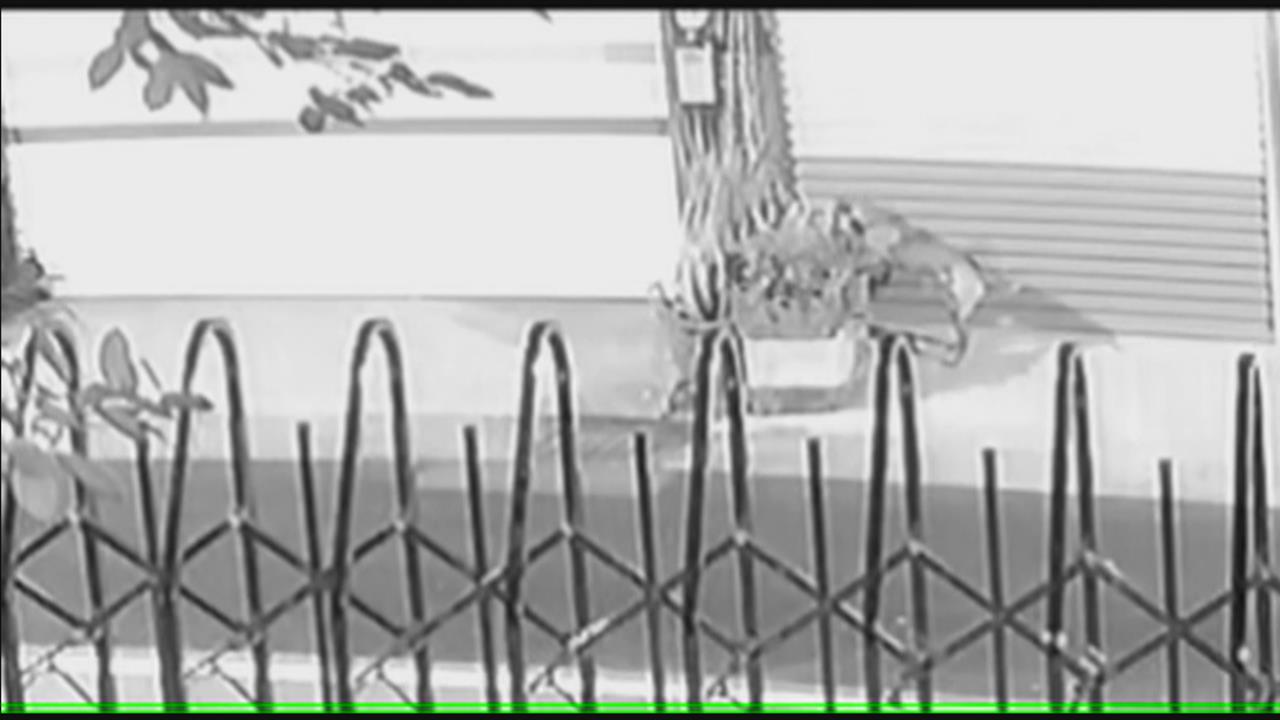 花盆裡藏「肉塊」! 高雄婦嚇到報警追查凶手大吃一驚