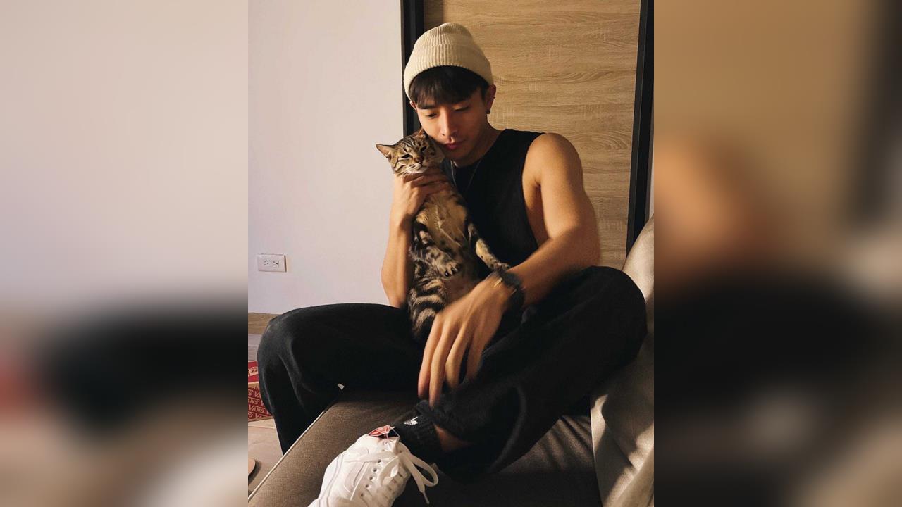 寵物情緣／愛貓主動翻出「珍奶肚」　刺刺獲情緒價值：被需要的感覺很好