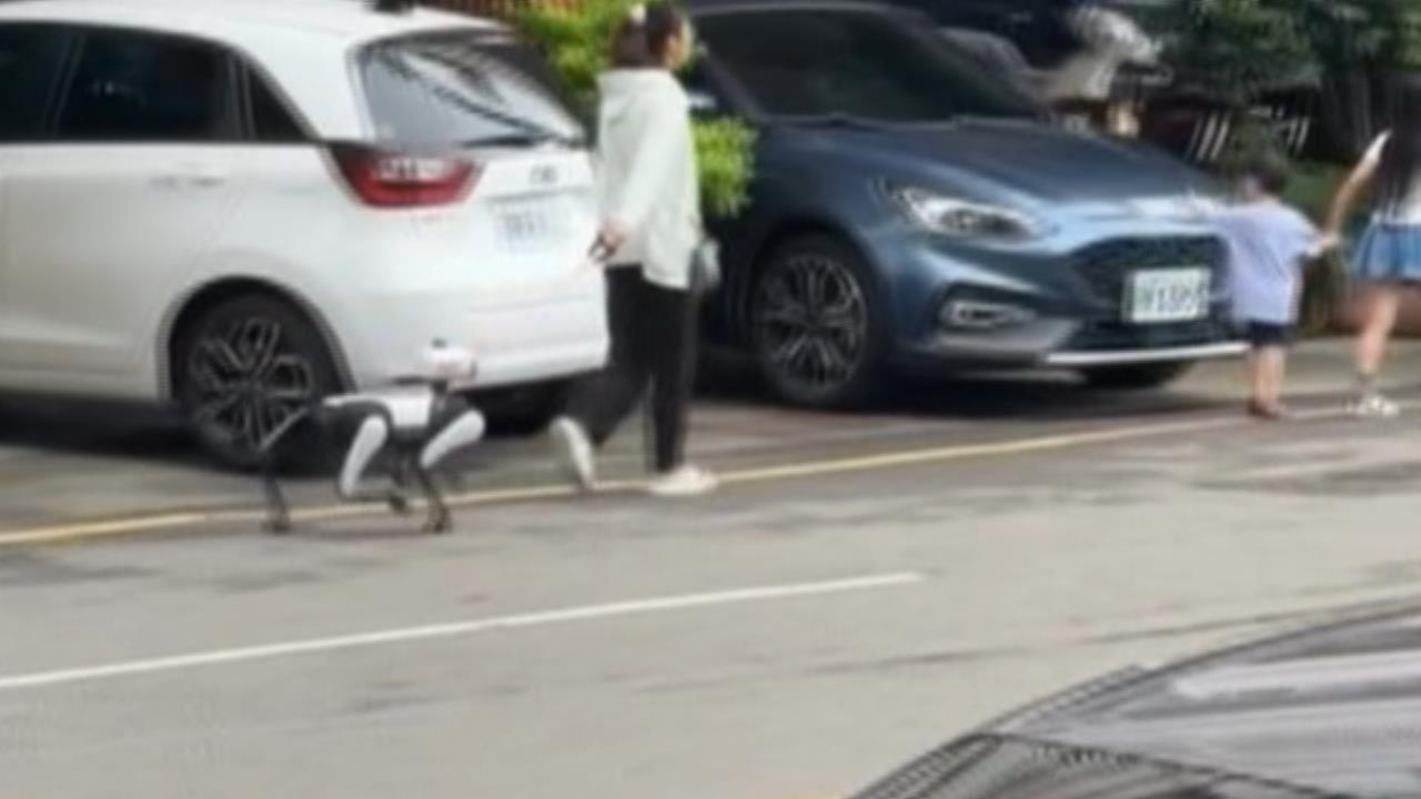 台中驚見「中國機器狗」趴趴走! 網驚:蒐集街道情資?
