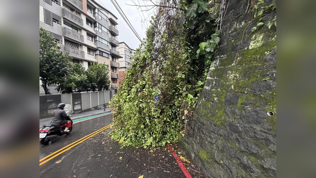 快新聞／北北基桃大雨特報！淡水民族路「邊坡坍方」路樹倒塌占車道