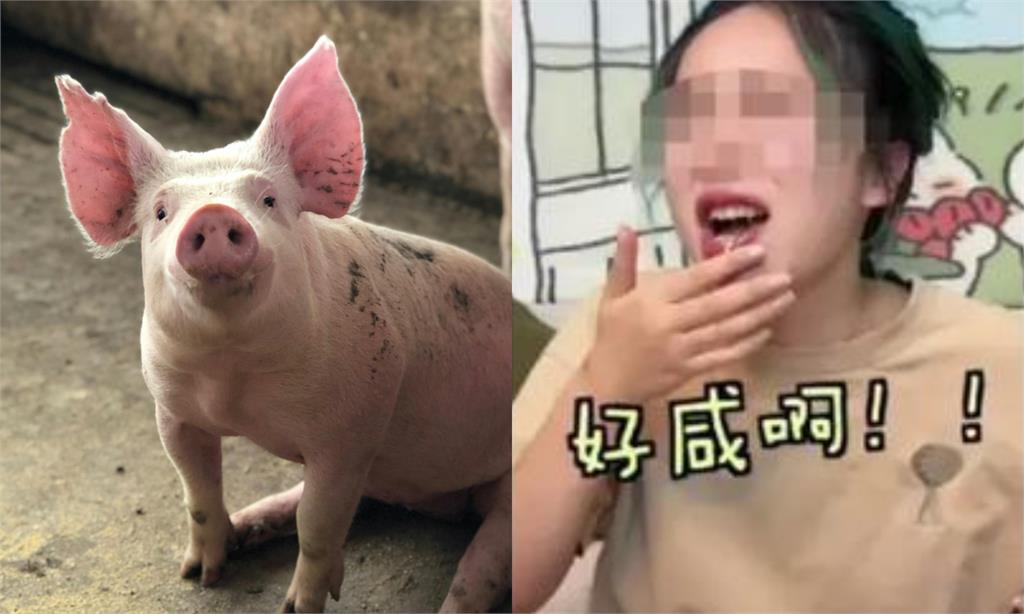 中國網紅「狂吃1週豬飼料」挑戰最省生存！震撼片嚇傻廠商：人不能吃…