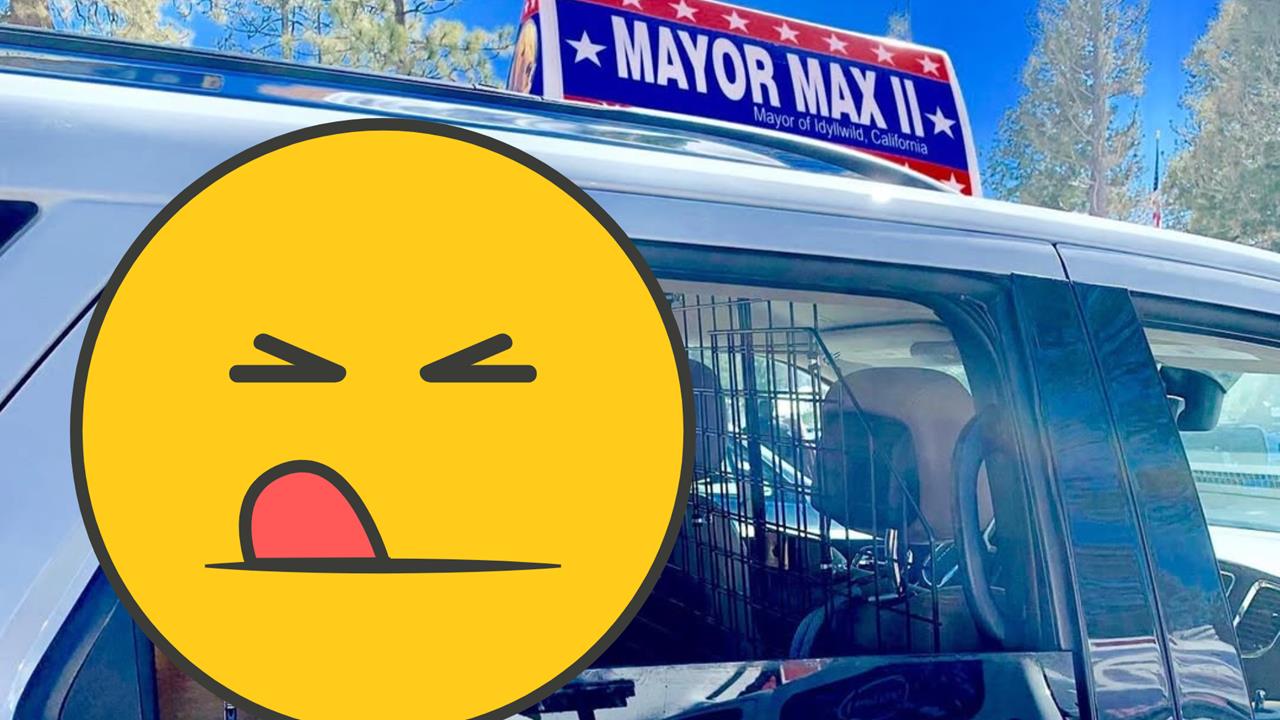 支持度比總統高！鎮長遭爆「賣身上位」官護3代炸裂內幕…無碼撫摸片流出