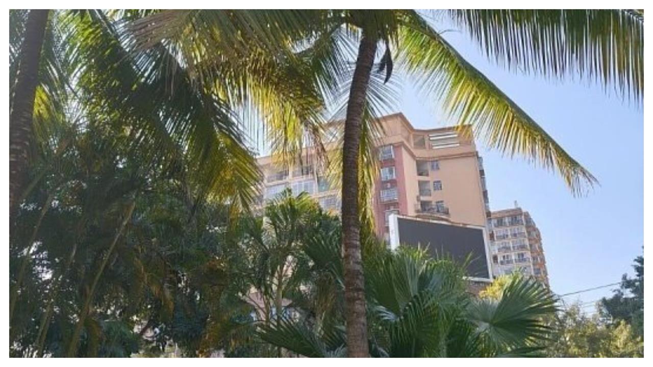 妹子散步遭「樹葉」砸到骨折傷殘！社區物業拿「1物」卸責遭抓包下場慘了
