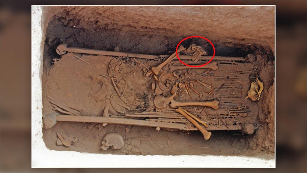 吐魯番出土2500年前「魚鱗盔甲」非中國做的　可能是最古老仿生品！