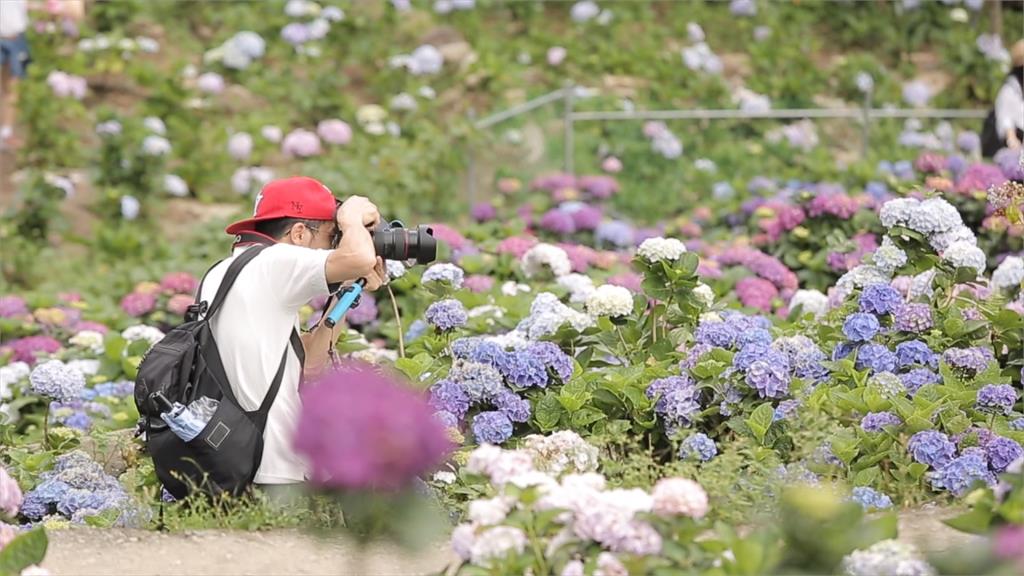 台北好農印象登場！放映城市農業系列紀錄片
