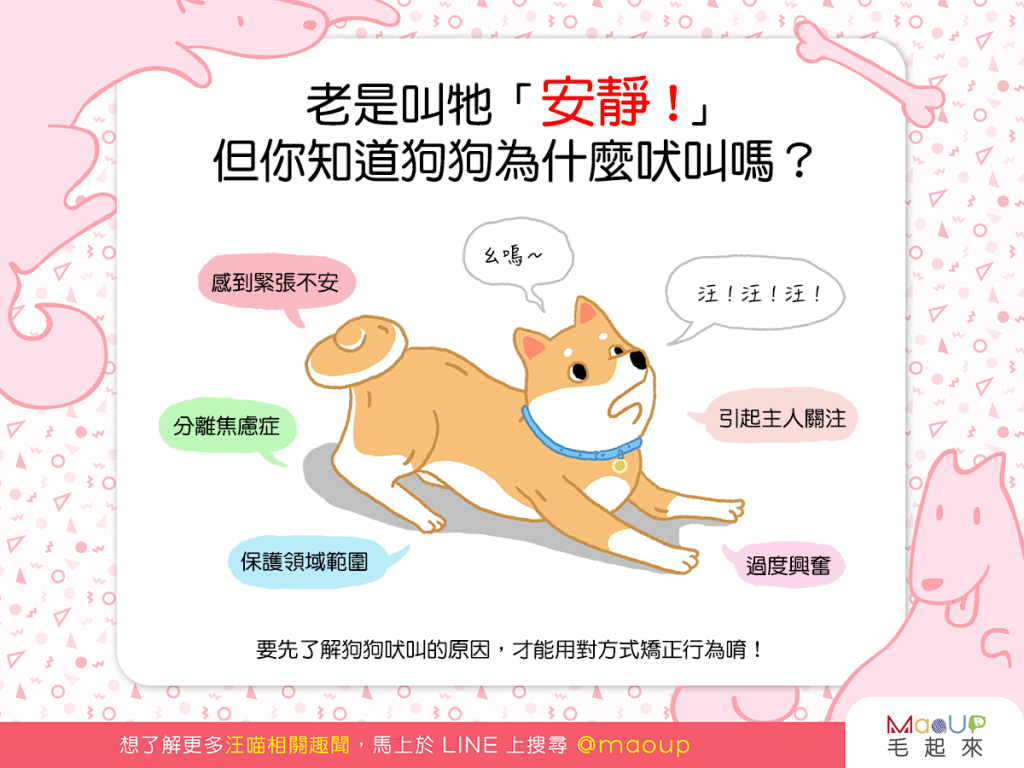 【汪汪真心話】「汪汪汪汪汪！」你知道狗狗為什麼吠叫嗎？