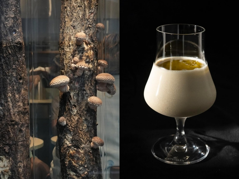 東京最潮永續咖啡廳！「菌菇俱樂部」用菇打造全新餐桌體驗