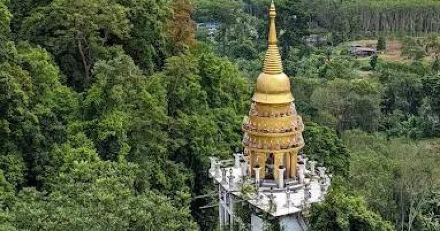 俄羅斯遊客亂吃泰國野果　7人出現胸悶嘔吐症狀急送醫