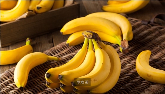 專屬香蕉的保險！去年理賠233%　「香蕉收入保險」延長販售至5/14