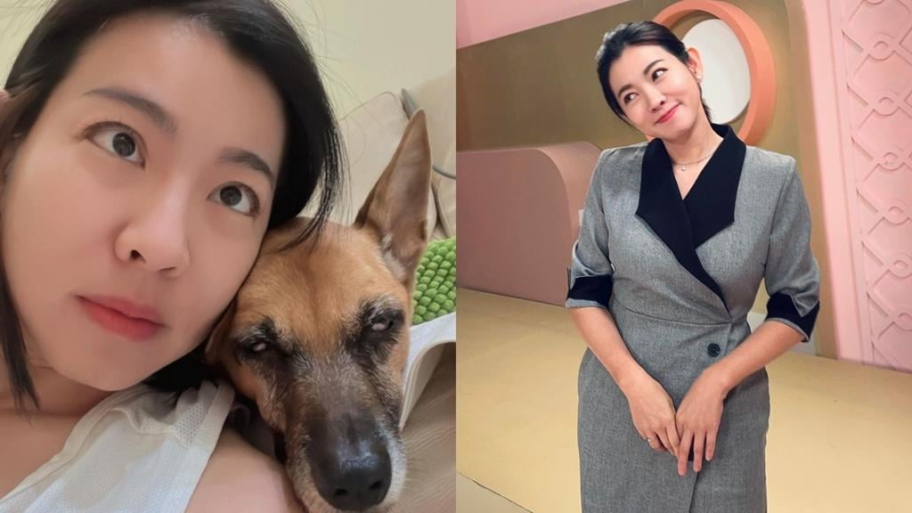 米可白又被當成狗「原來我身兼多職」!網友笑喊:《好運來》會不會安排聞行李箱戲?