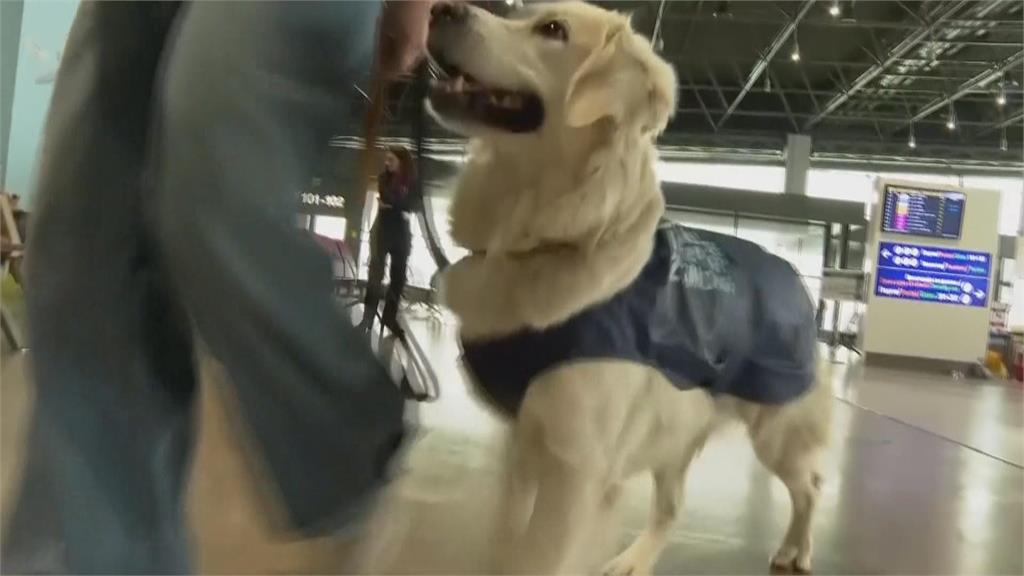 不查違禁品而是療癒人心　北馬其頓機場「撫慰犬」超萌
