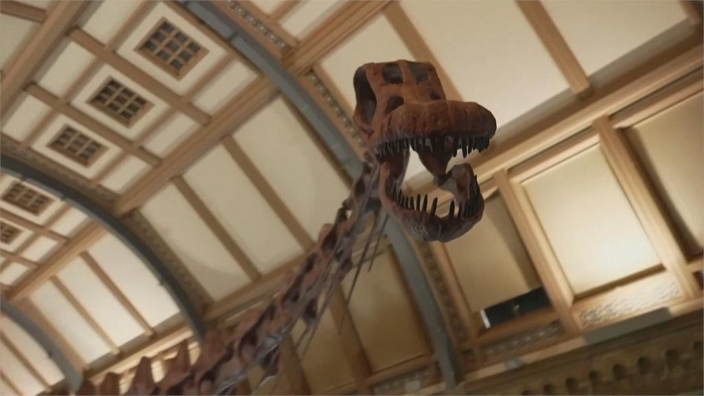 倫敦特展展出37米長泰坦巨龍　還有精心調配「恐龍便便」可以聞