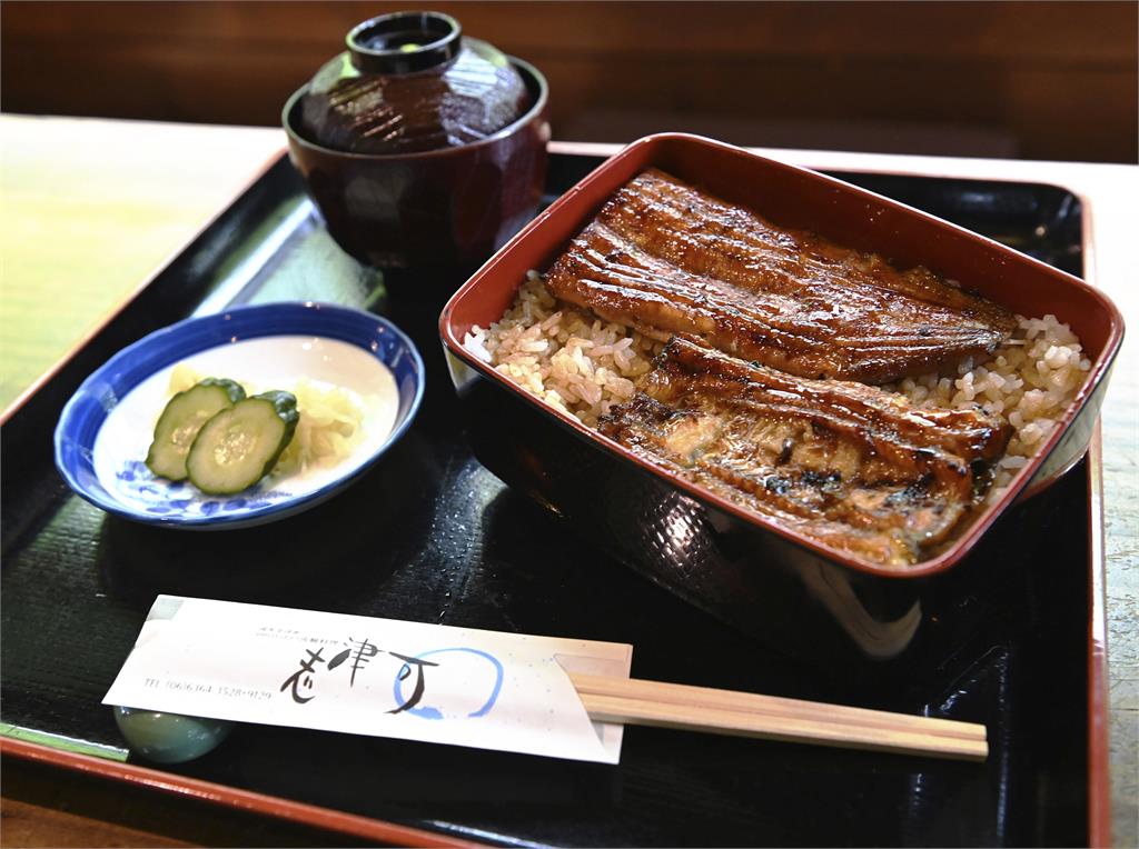 今年鰻苗捕撈量僅5.6噸　史上倒數第3　日本「土用丑日」鰻魚金貴