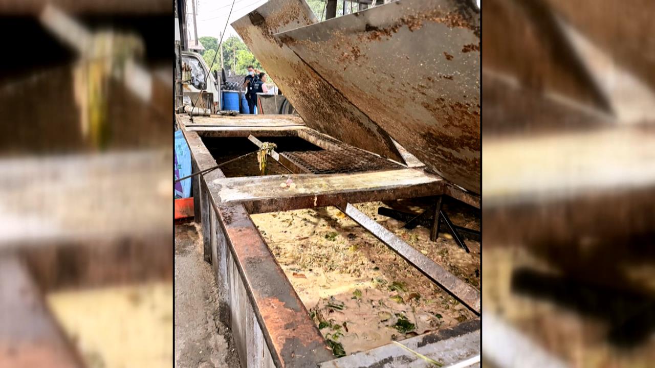 屏東養豬場違規使用廚餘　重罰80萬限制上市取消補助