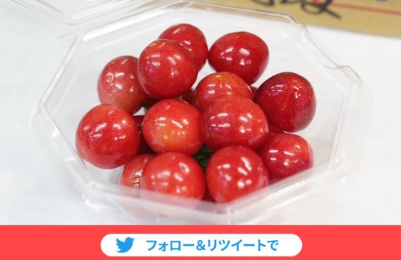一口吞掉4千元！日本「紅寶石」佐藤錦櫻桃　拍賣130萬日幣創紀錄