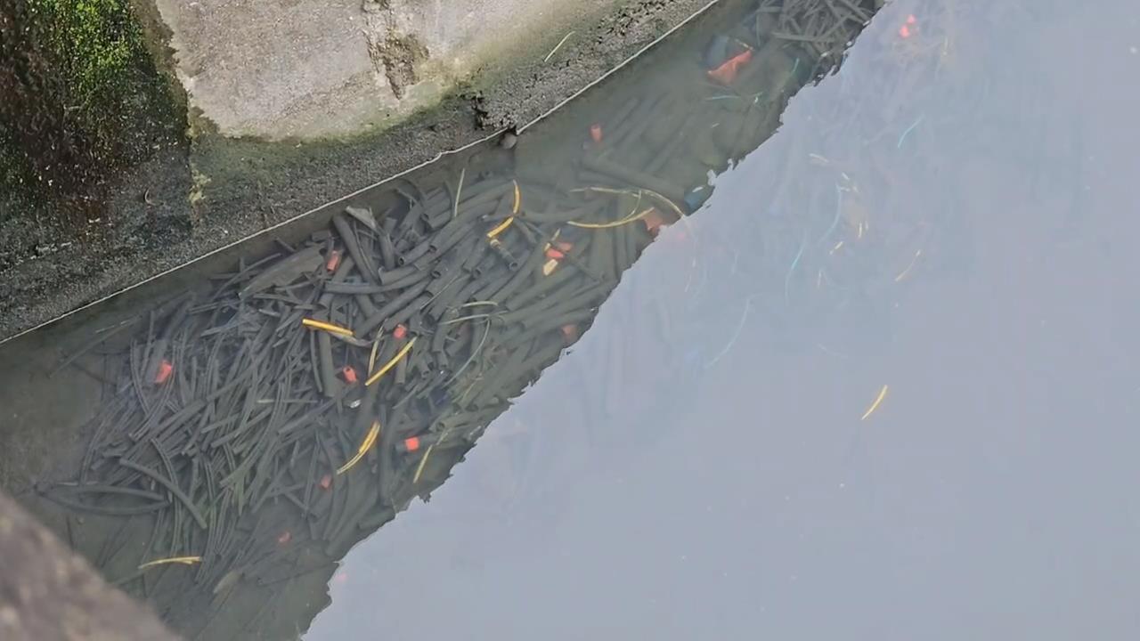 惡劣! 宜蘭排水溝驚見大量廢棄電線皮 環保局到場稽查