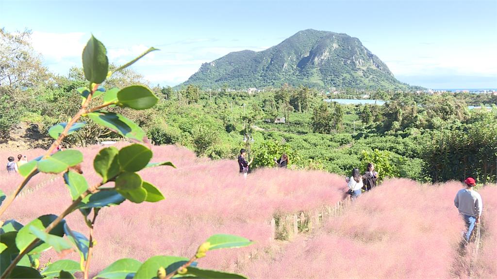 濟州島員工旅遊車禍7人傷 團員平安返台!嚇壞喊「不敢再出國」