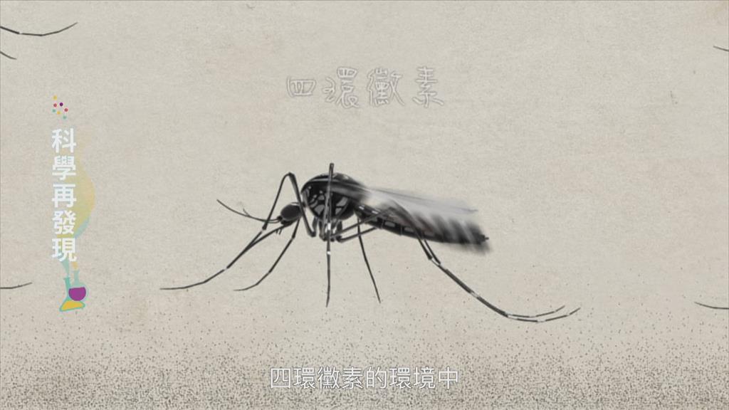 生物技術逐年進步 如何共存引發討論