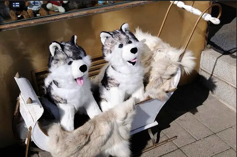 這是真的！怪大叔「哈士奇玩偶」屁股挖洞性侵射精