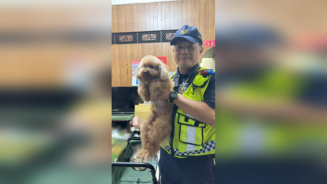好聰明！汪星人大街迷航　自行奔派出所報案求救