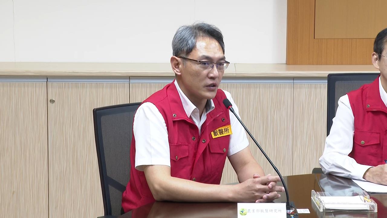 非洲豬瘟基因定序出爐！　與「中國、越南」相似度逾99%