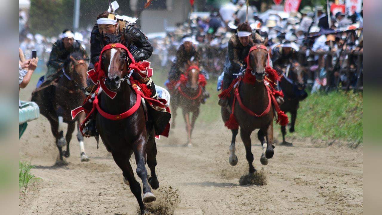 福島千年祭典相馬野馬追 馬匹暴衝6人受傷