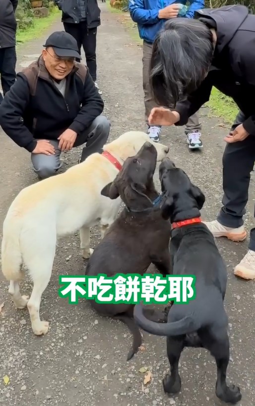 完成卸任之約！　蔡英文、蘇貞昌相約爬山