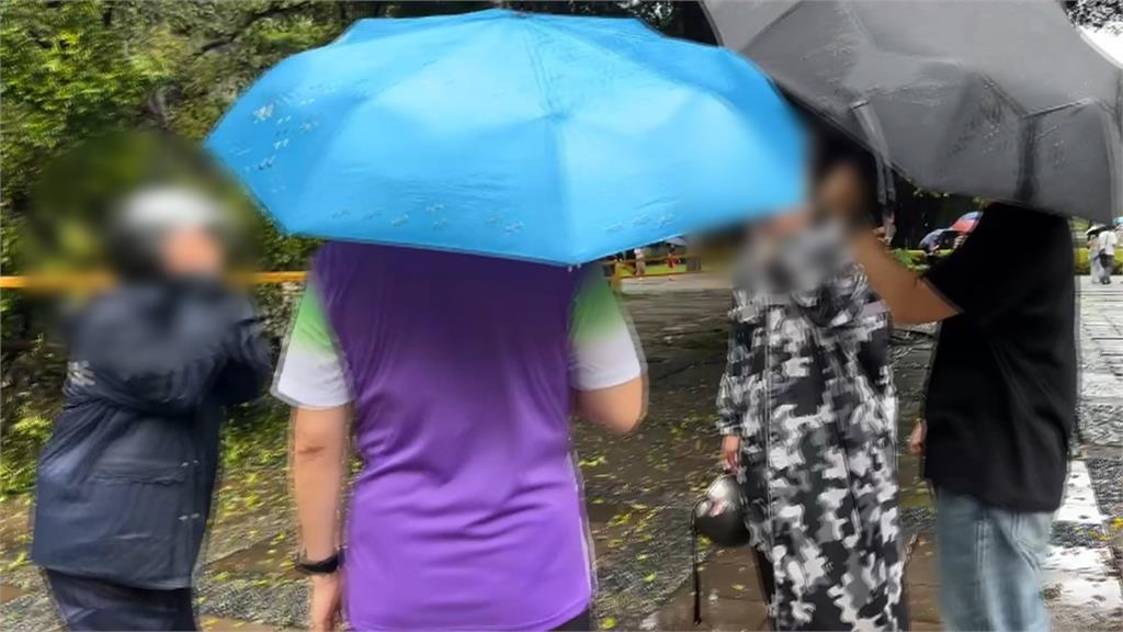 逢甲材料系碩一生遭校園路樹重壓亡　女友目睹心碎瞬間