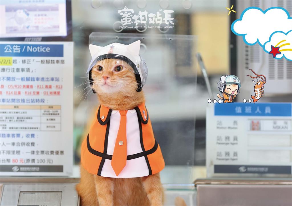 蜜柑站長換裝不打怪 聯名虎航馬年走春美食玩樂全包