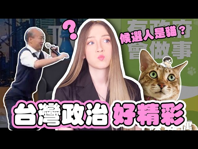 台灣政治好有趣？「貓看板、膝蓋走路」驚呆美國正妹　網笑：這就是民主