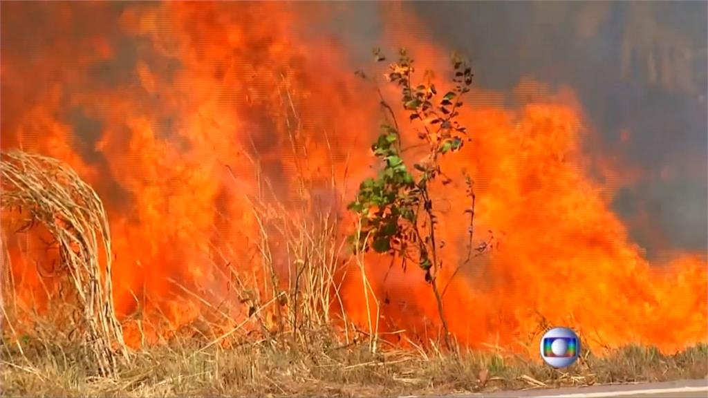過度濫墾濫伐 亞馬遜區野火發生率破紀錄