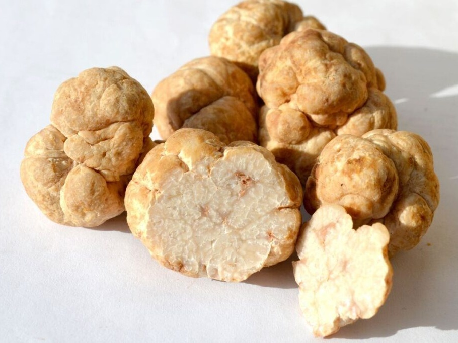 從珍稀松露到減糖救世主！「蜂蜜松露甜味劑」問世  天然高甜無熱量、有望2026年全球上市