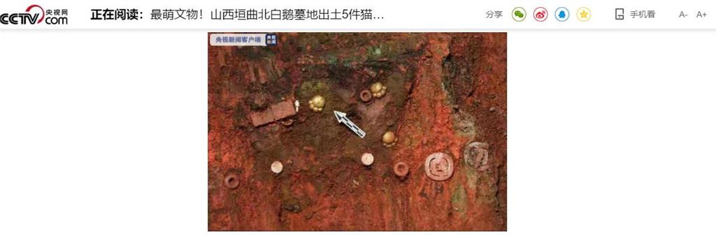 中國墓地出土5只「貓爪」文物照片曝　貓奴暴動：好可愛！