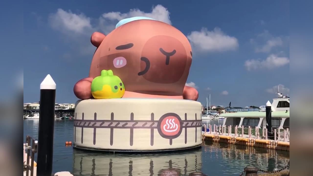 超萌！「卡比胖拉」現身台南　圓滾滾模樣超療癒