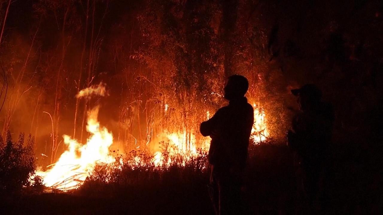 智利25處森林野火燎原　逾19人死5萬人被迫撤離