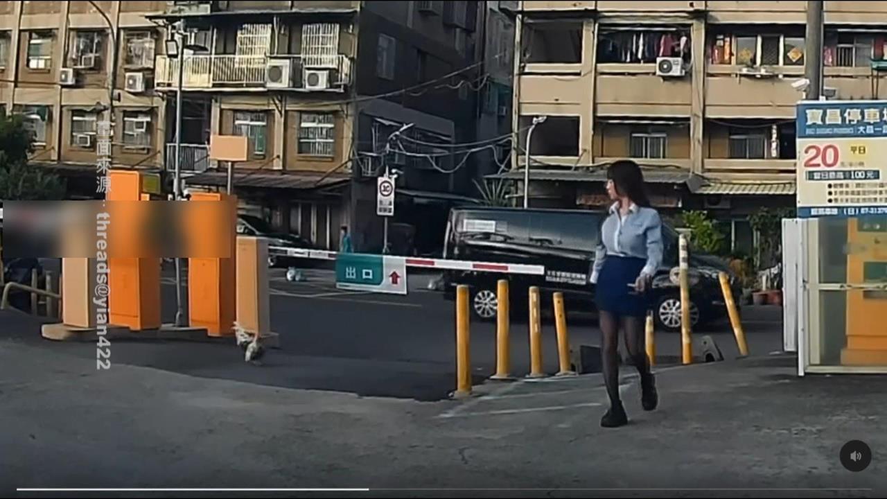 高雄女「遭公雞追」急逃上車　直呼：太不講武德了
