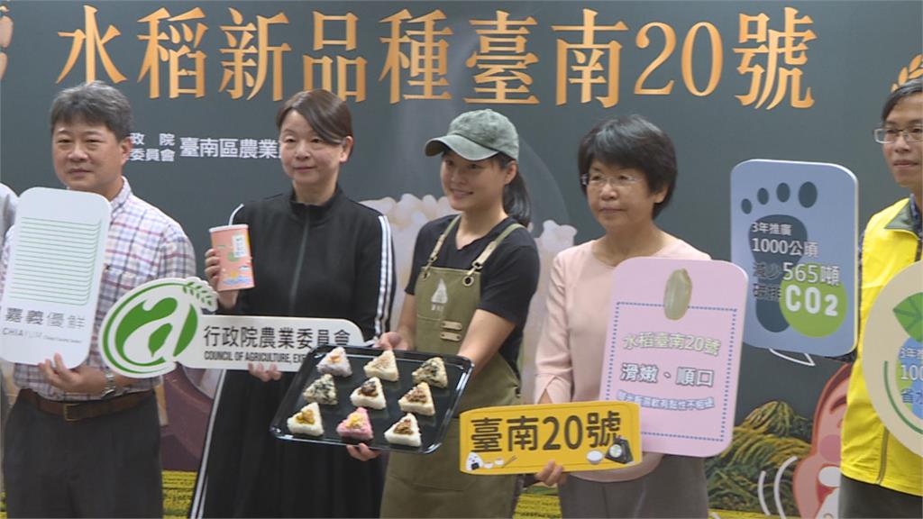 冷飯也Ｑ彈！台南20號米培育成功　採乾濕灌溉減碳又省水