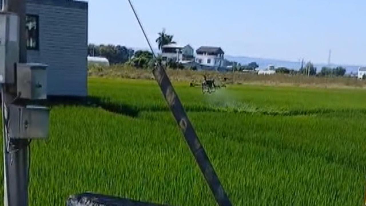無人機噴灑農藥！農民控害木瓜園受損　中市府：加強查核宣導