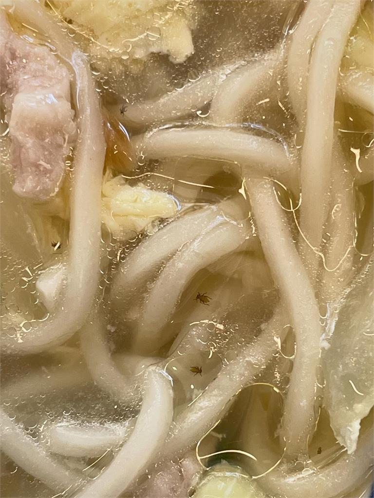 反胃！高雄海鮮湯麵「有果蠅」　業者歉：退費、停業消毒1天