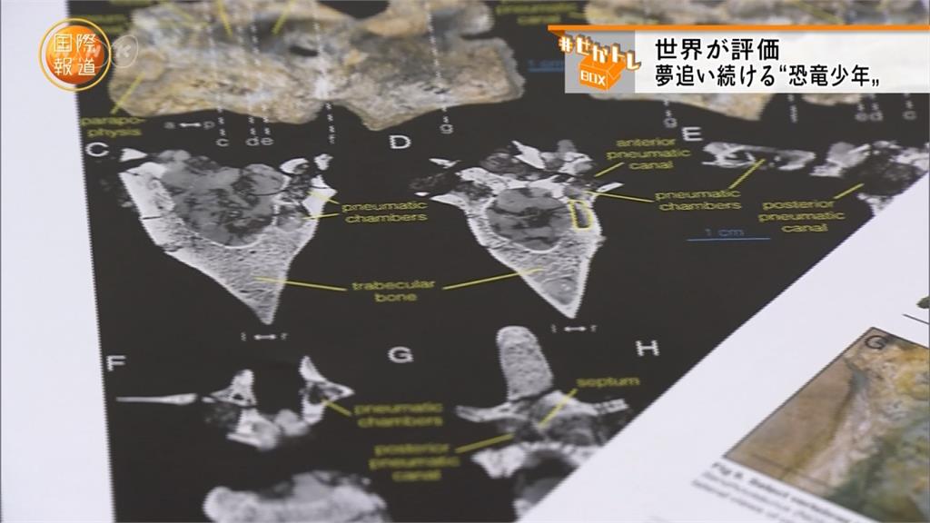 最新研究：恐龍幼年時期 身披滿滿羽毛