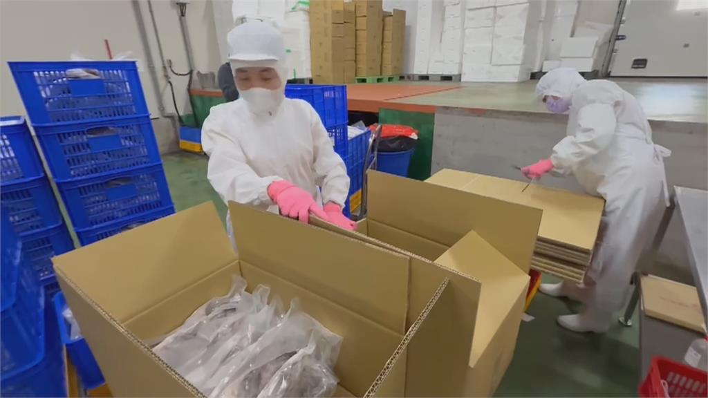 關稅上路！　高雄魚產外銷臨時喊卡　漁會憂鱸魚片將漲到350元
