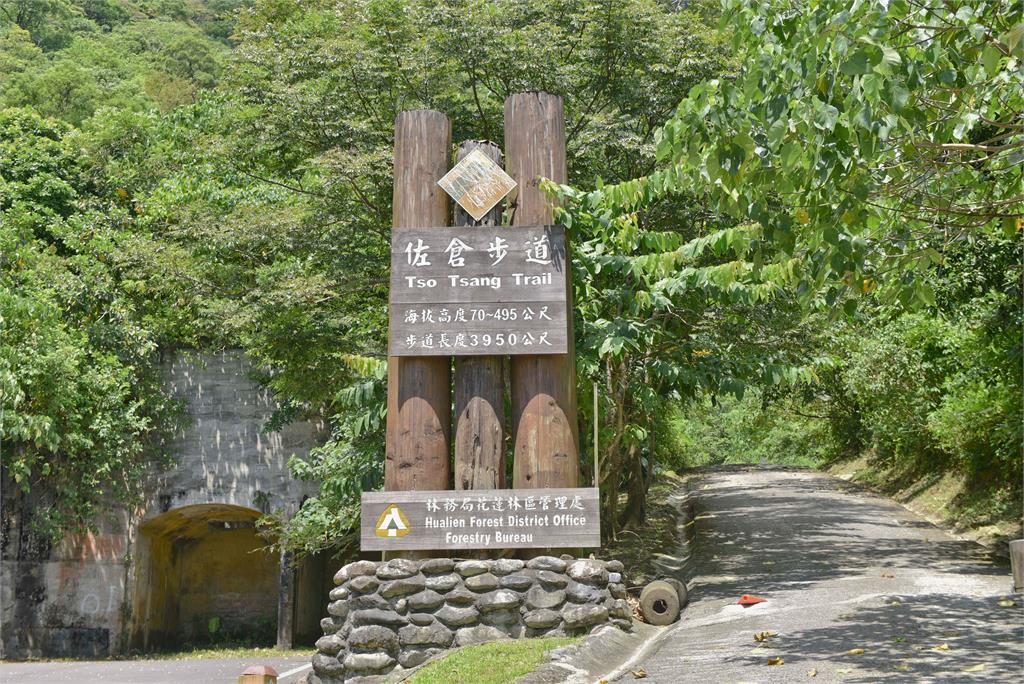 113年震後重啟　花蓮佐倉步道21日開放鳥瞰太平洋