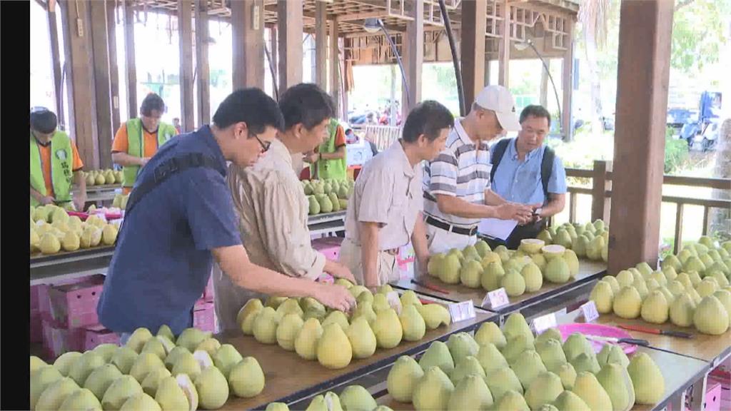 全台唯一！「智慧篩柚」在花蓮瑞穗農會：買柚子手腳要快