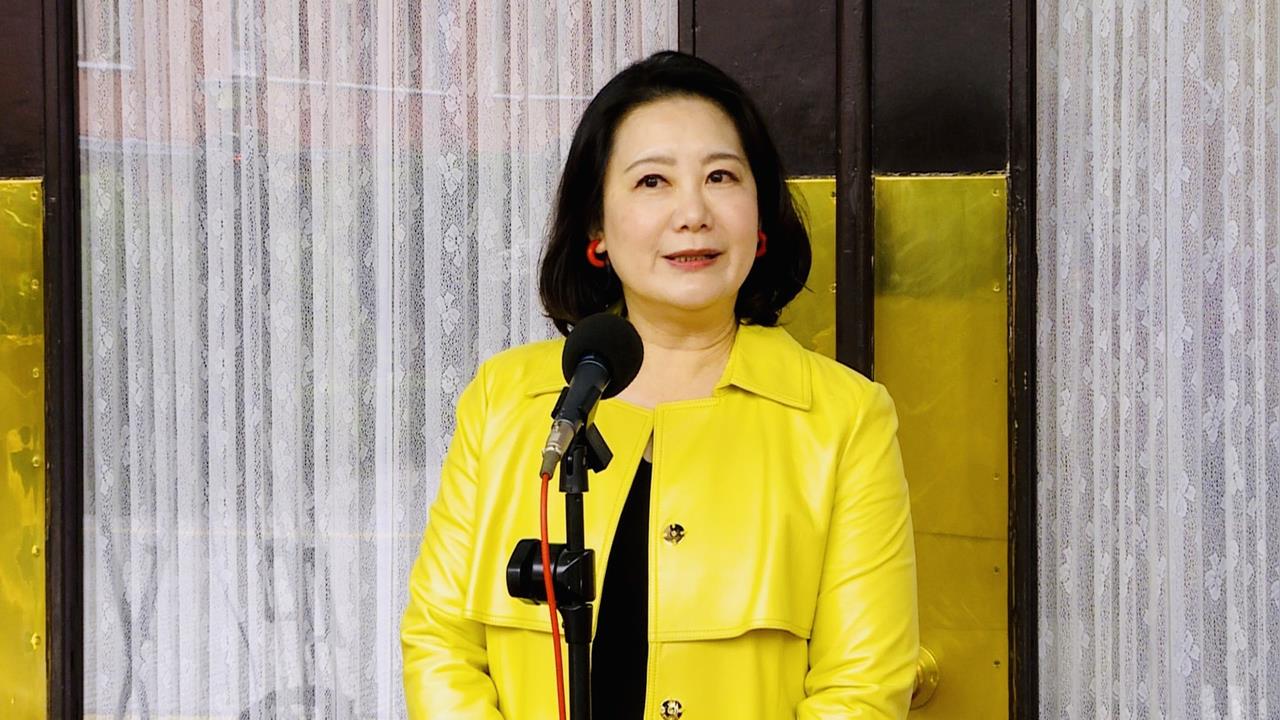 快新聞／並未撤案！林宜瑾喊修兩岸條例　吳思瑤：每個委員都有提案權